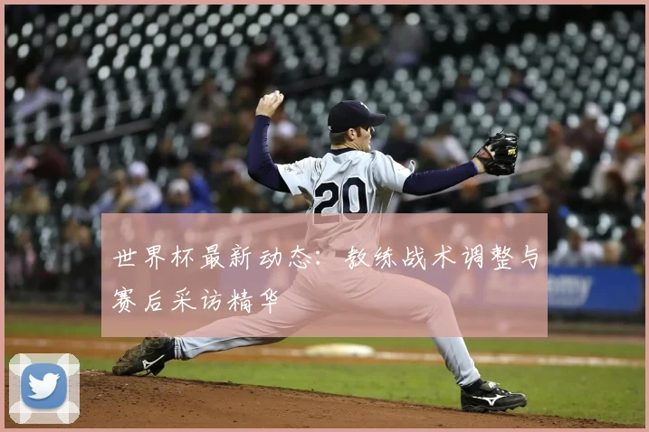 世界杯最新动态：教练战术调整与赛后采访精华